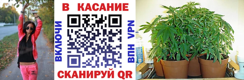 Магазины продажи наркотиков Качканар Метамфетамин  Меф мяу мяу  Бошки Шишки  Кокаин 