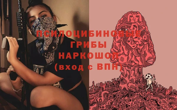 твердый Алзамай